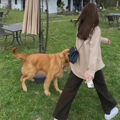 麻木不仁第三季