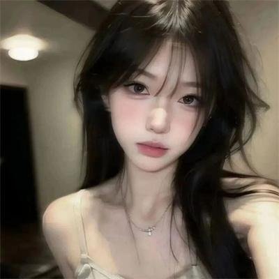 神烦警探第八季
